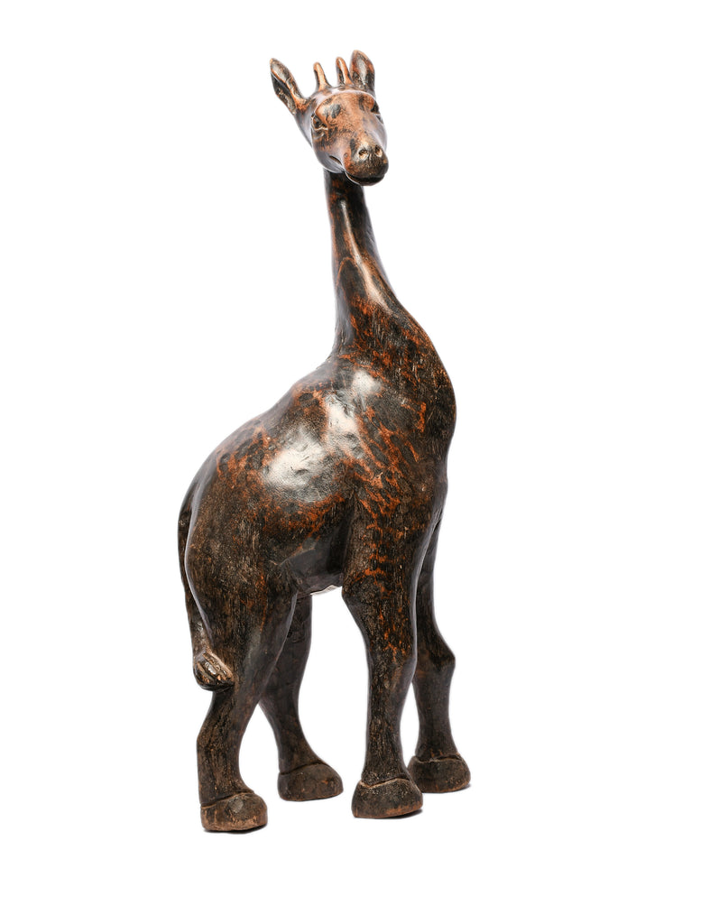 Giraffe (FROM BAUCHI)